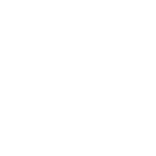 Neus | Adempro icoon